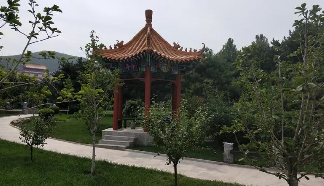 三河灵山宝塔陵园树葬详解：燕郊风水好的平价生态墓地
